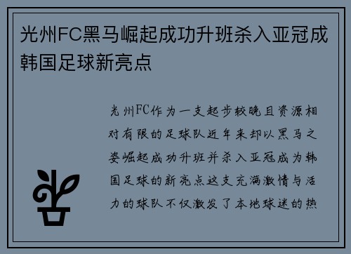 光州FC黑马崛起成功升班杀入亚冠成韩国足球新亮点 光州FC黑马崛起成功升班杀入亚冠成韩国足球新亮点