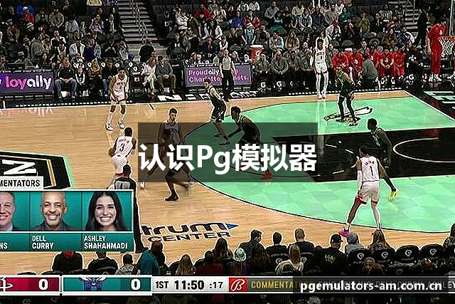 认识Pg模拟器